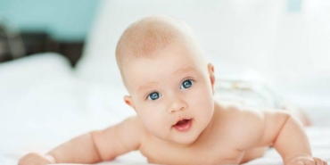 1670934419_TOD_Bebek-768x511