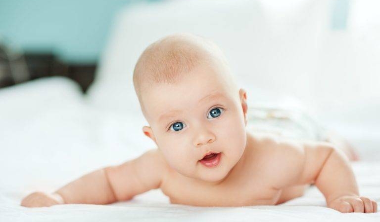 1670934419_TOD_Bebek-768x511